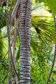 Lord Howe Island_20061209_081